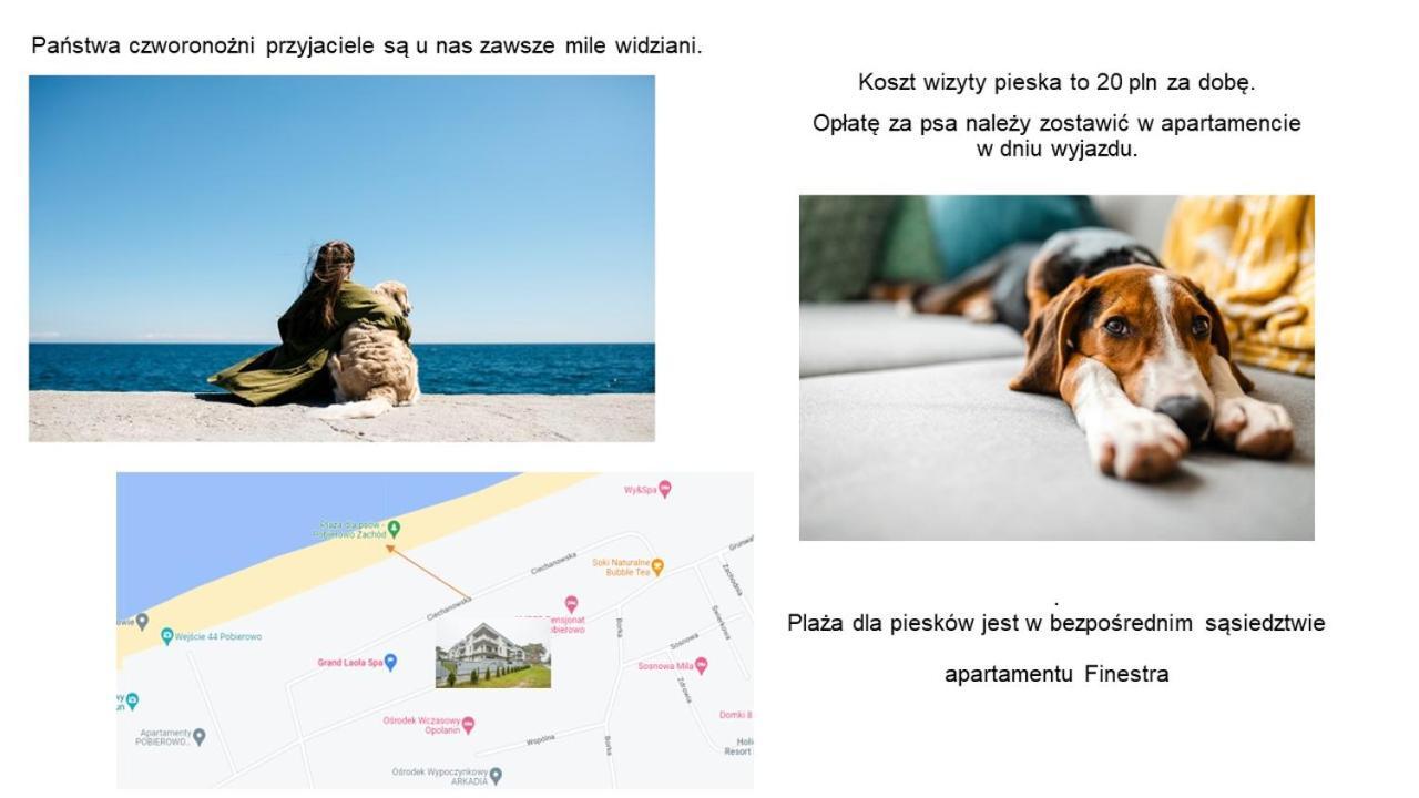 Apartament Finestra, Przy Morzu, Ul Grunwaldzka 12 D23 Pobierowo Exteriér fotografie